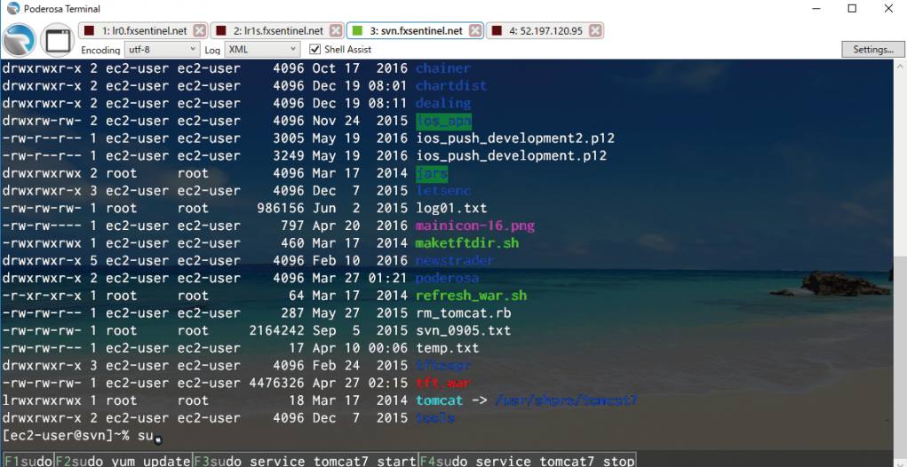 putty vs teraterm