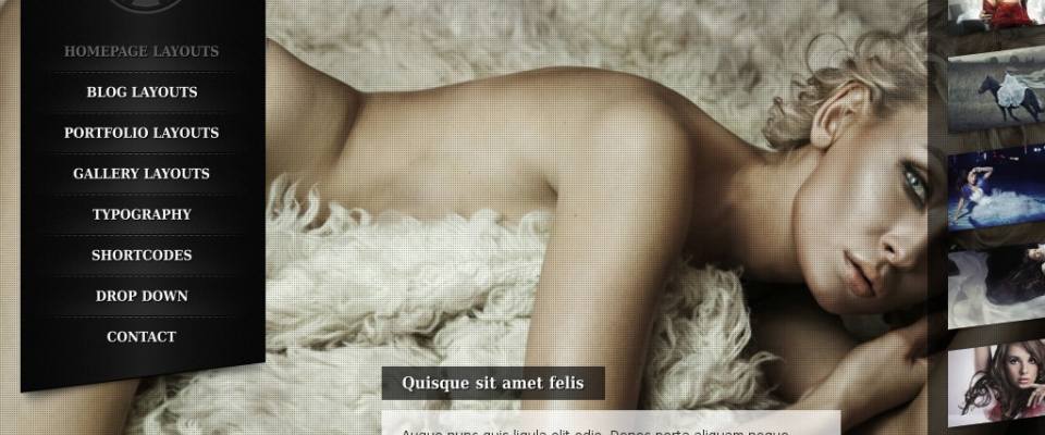 90 free wordpress themes